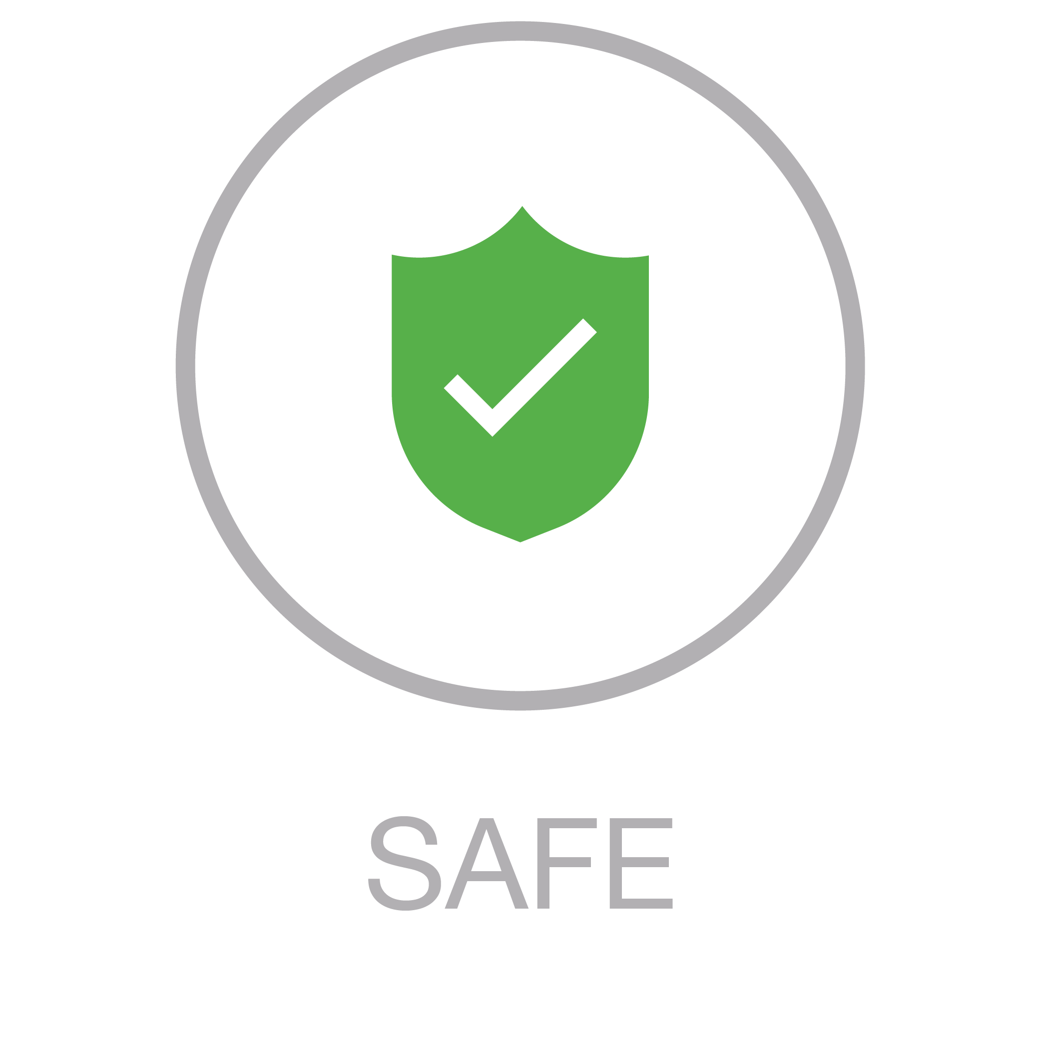 02_Iconen_Axiwi_sport250_Safe